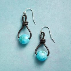 Friendly Planet Earrings