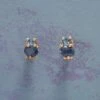 Paradiso Earrings -Abigail Fashion Store c60db42a b881 4e79 b0ca 8c2e944d2fda